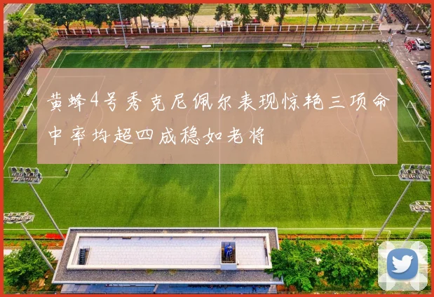 黄蜂4号秀克尼佩尔表现惊艳三项命中率均超四成稳如老将