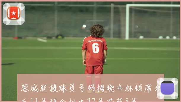 蓉城新援球员号码揭晓韦林顿席尔瓦11号拜合拉木27号茹萨5号